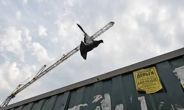 Леонид Максимов отрезал от себя землю менеджерам Романа Авдеева