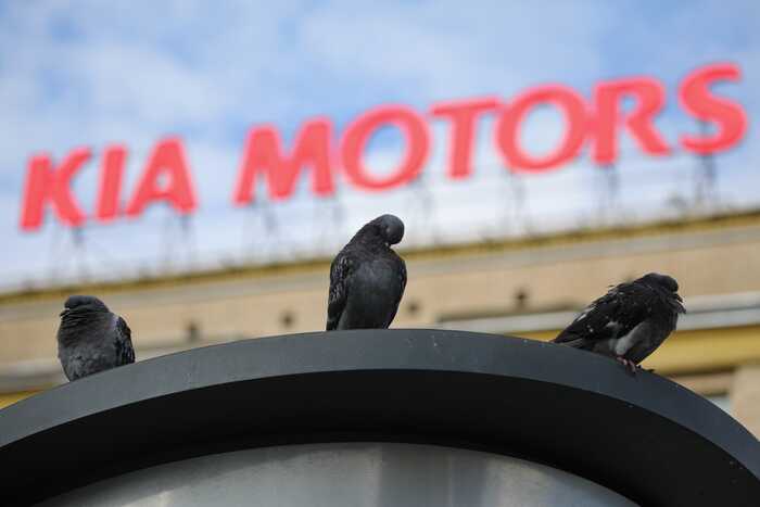 KIA получила одобрение на проектирование автозаводов в России