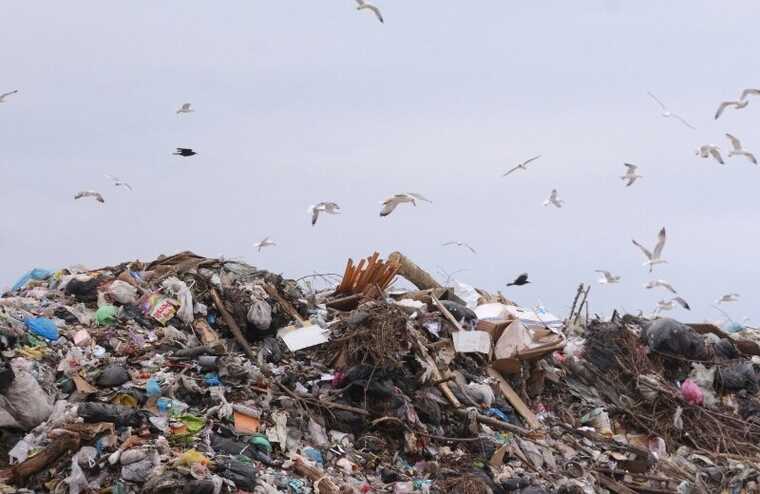 Ростовчане опасаются экологической катастрофы из-за захоронения химии на полигоне