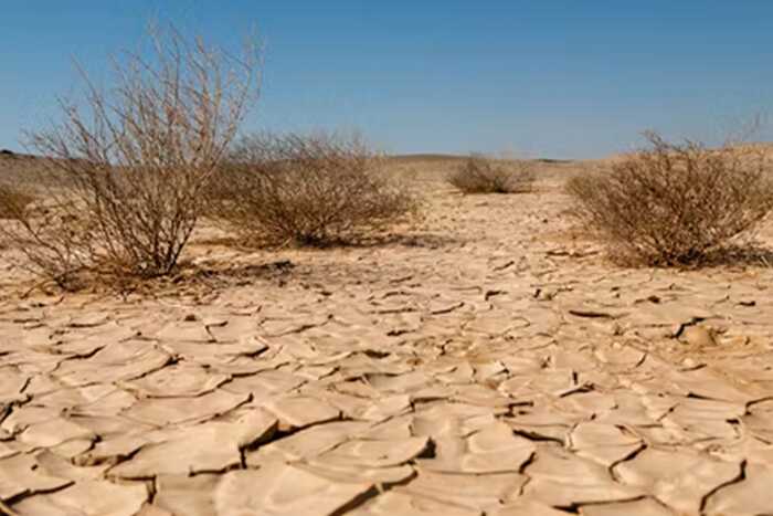 Бывший советник Саудовской Аравии и депутат Кувейта участвуют в антиэкологической пропаганде