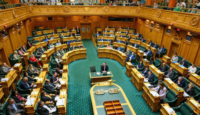 Заседание парламента Новой Зеландии остановлено из-за танца депутата партии TPM