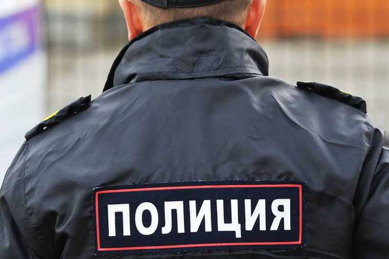 В Мытищах задержали экоактивисток, выступавших против строительства дороги через «Лосиный остров»