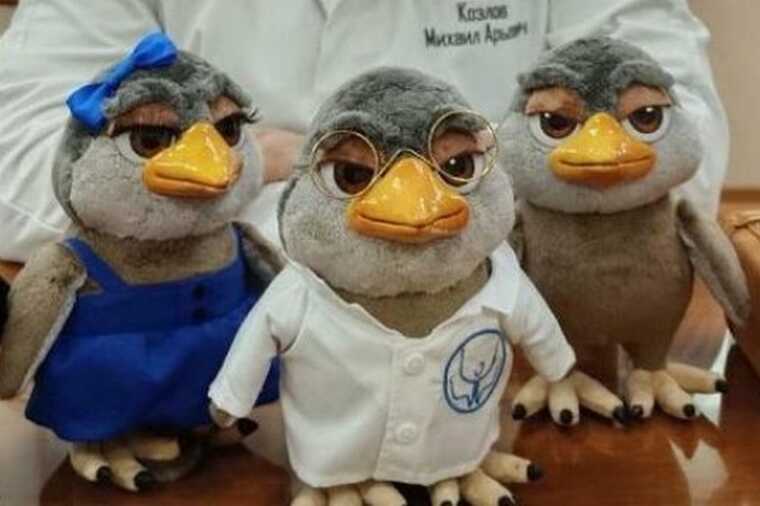 Челябинская психбольница подала заявки в Роспатент на бренд «Кукух»