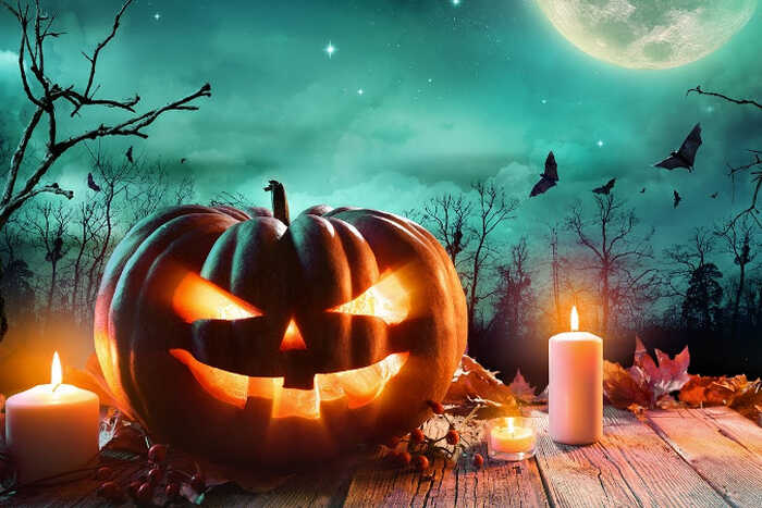 Движение «Общее дело» обратилось в прокуратуру из-за празднования Хэллоуина