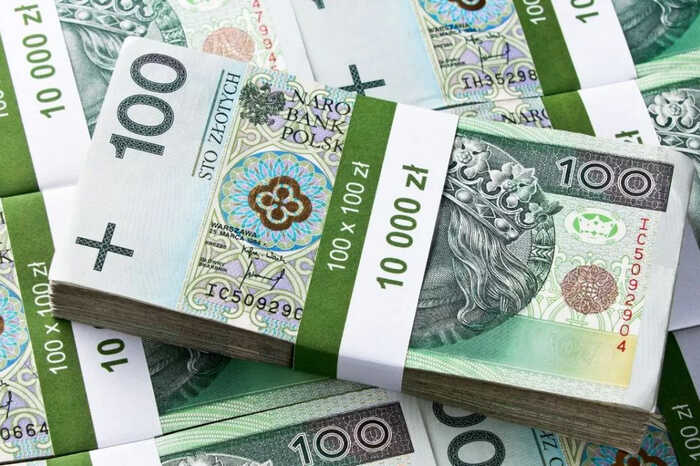 Польша и другие страны ЕС переходят на ограничение крупных наличных расчётов